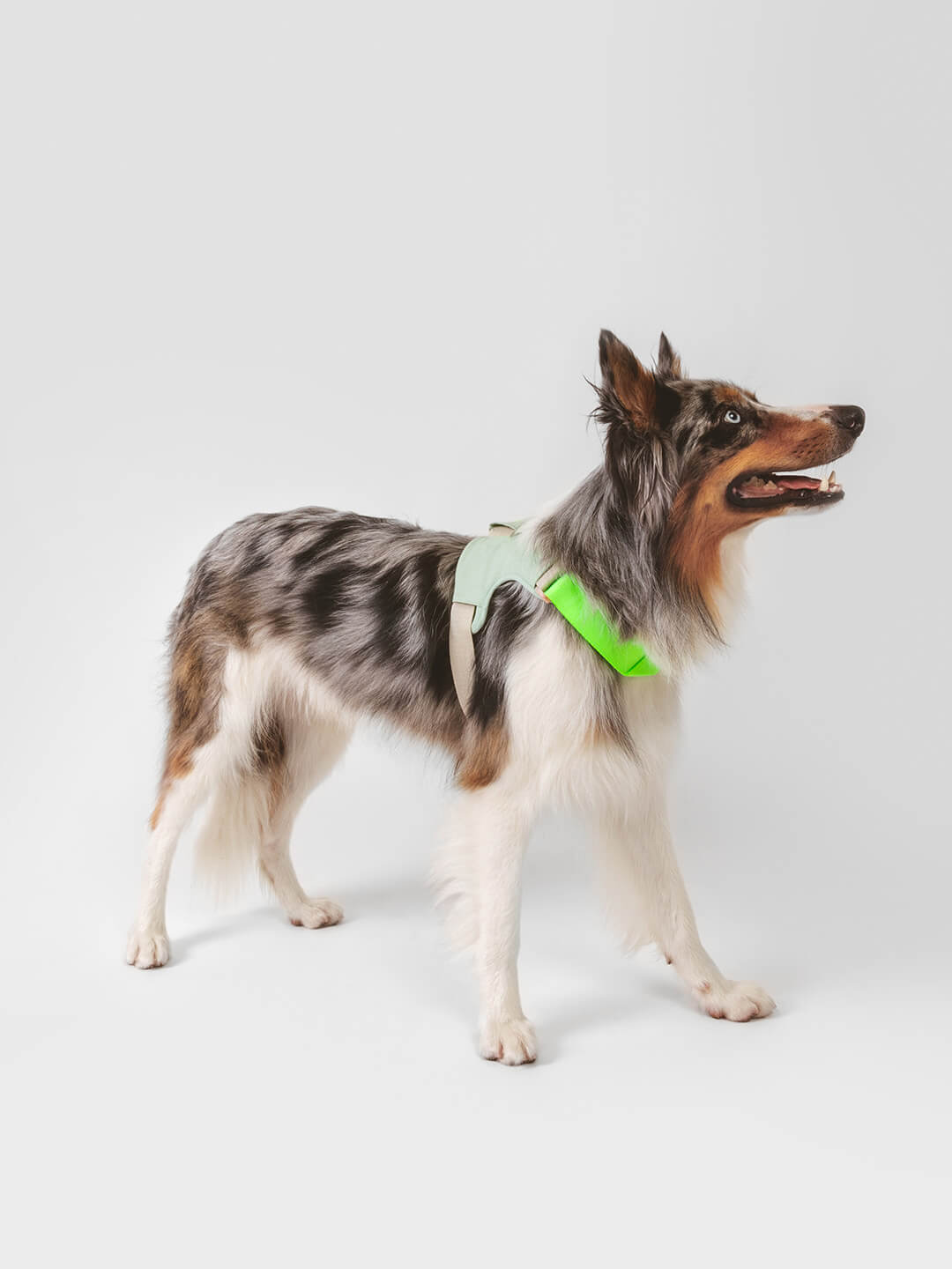 Hug Harness – Qisu Brand