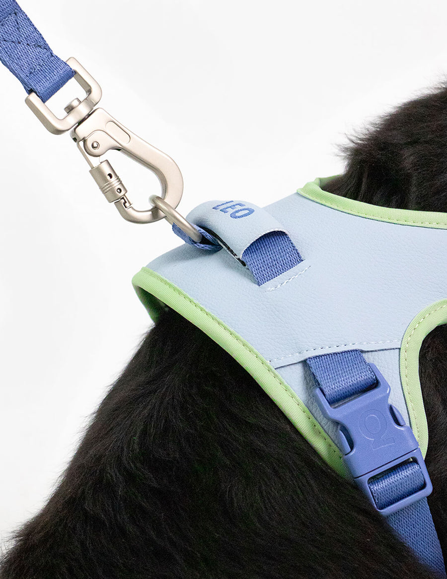 Hug Harness - Premium