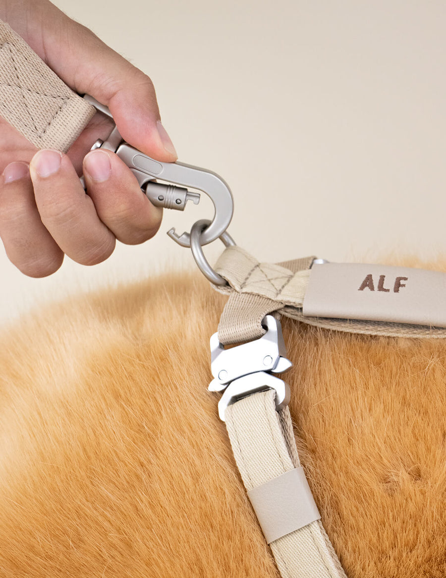 Air Leash - Canvas (Guinzaglio multi-posizione)