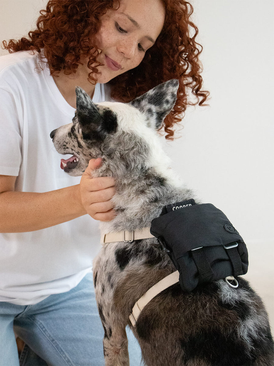 Doggy Daypack - Zaino per cani