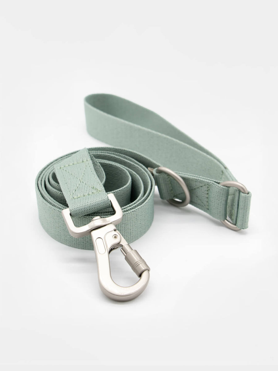 Hug Leash - Guinzaglio lunghezza fissa