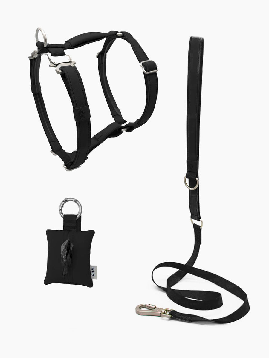 Pack Air Harness