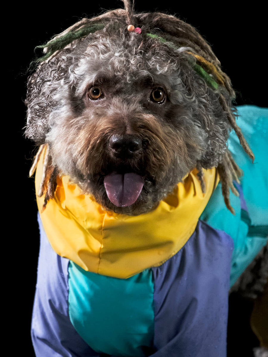 Tropical Shell Raincoat