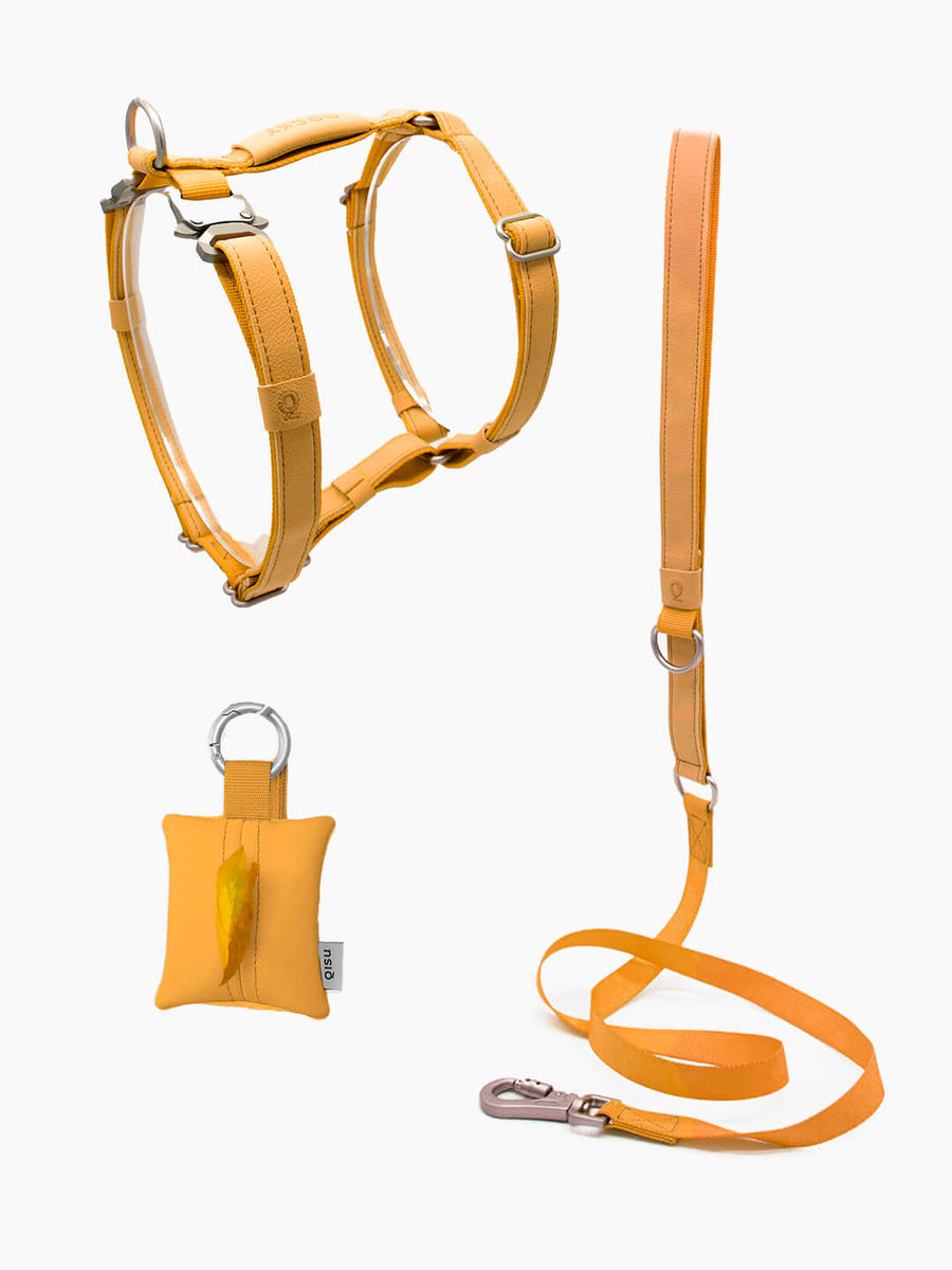 Pack Air Harness