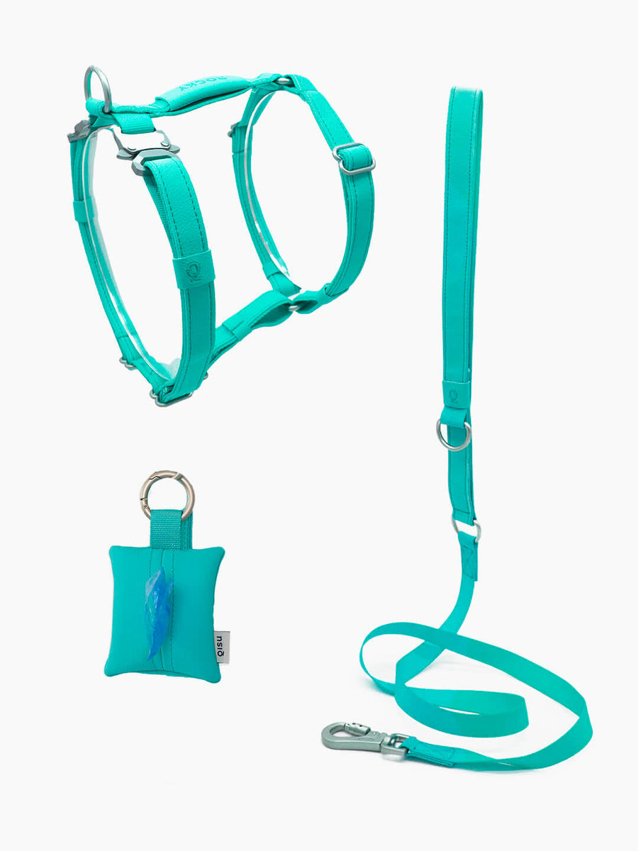 Pack Air Harness