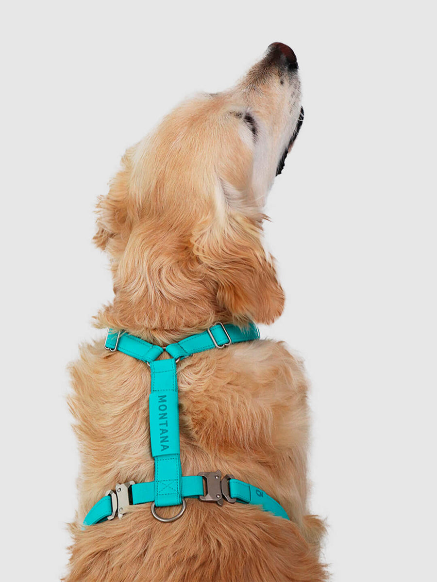 Pack Air Harness